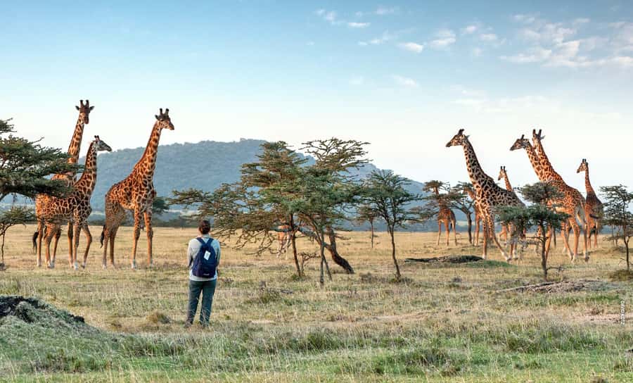Arusha National Park Day Tour with All-Inclusive - Ngurudoto Crater and the first wildlife scan