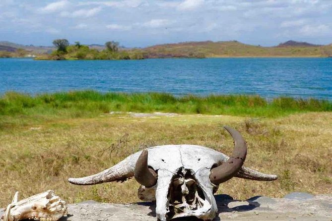 Arusha National Park Day Trip - What the private 4x4 setup means for you