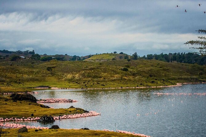 Arusha National Park Guided Day Tour from Arusha - Should You Book This Arusha National Park Day Tour?
