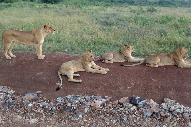 Arusha National Park Half Day Tour - Pickup from Arusha or Kilimanjaro Airport
