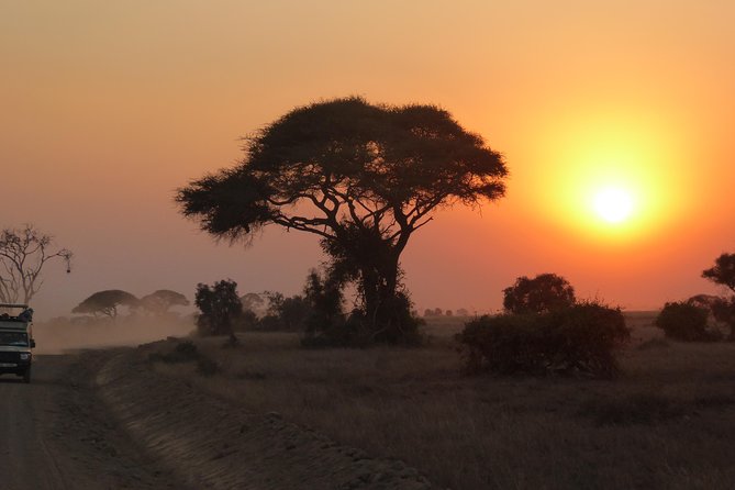 Arusha National Park Safari by Jeep - Pickup from Arusha hotels and Kilimanjaro Airport