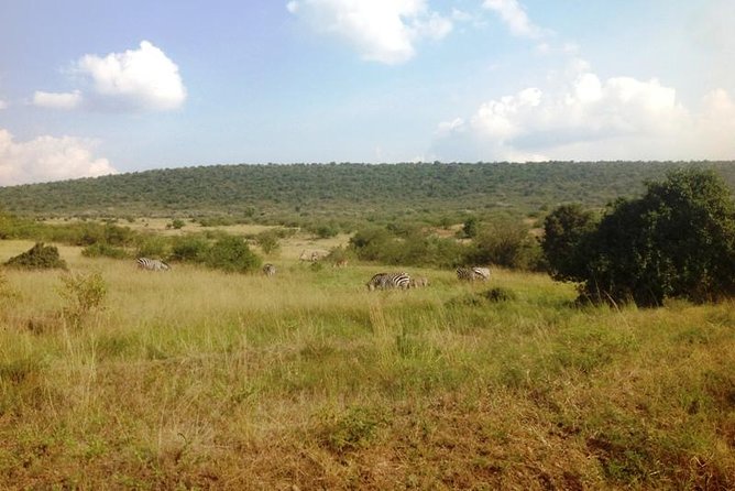 Arusha National Park Safari by Jeep - The real cost, and why the $0 display needs checking