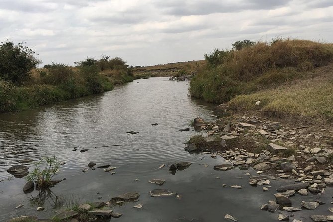 Arusha National Park Safari by Jeep - What you might see inside the park