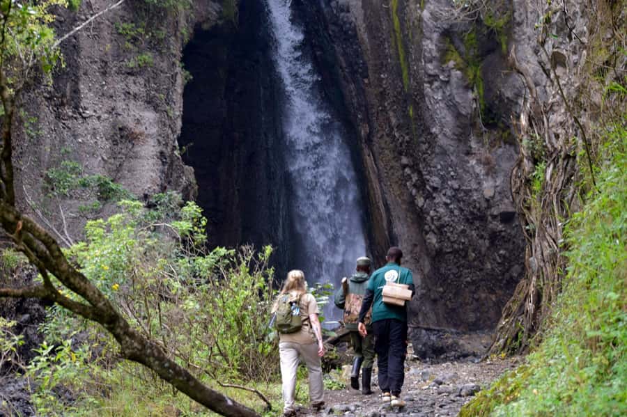 Arusha National Park: Walking Safari and Game Drive - Walking with a ranger through forest and marsh