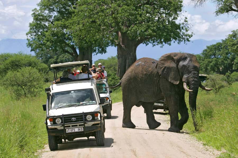 Arusha: Tarangire National Park Full-Day Wildlife Safari - Leaving Arusha for the Tarangire road