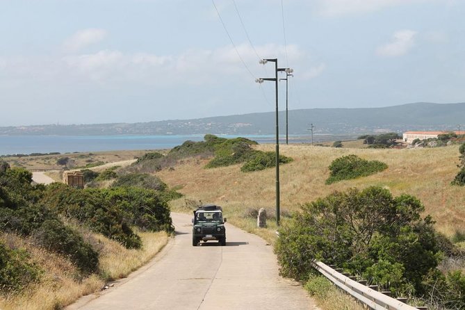 ASINARA ISLAND-TOUR full day Minivan in the National Park - Cala Sabina: the day’s long beach break