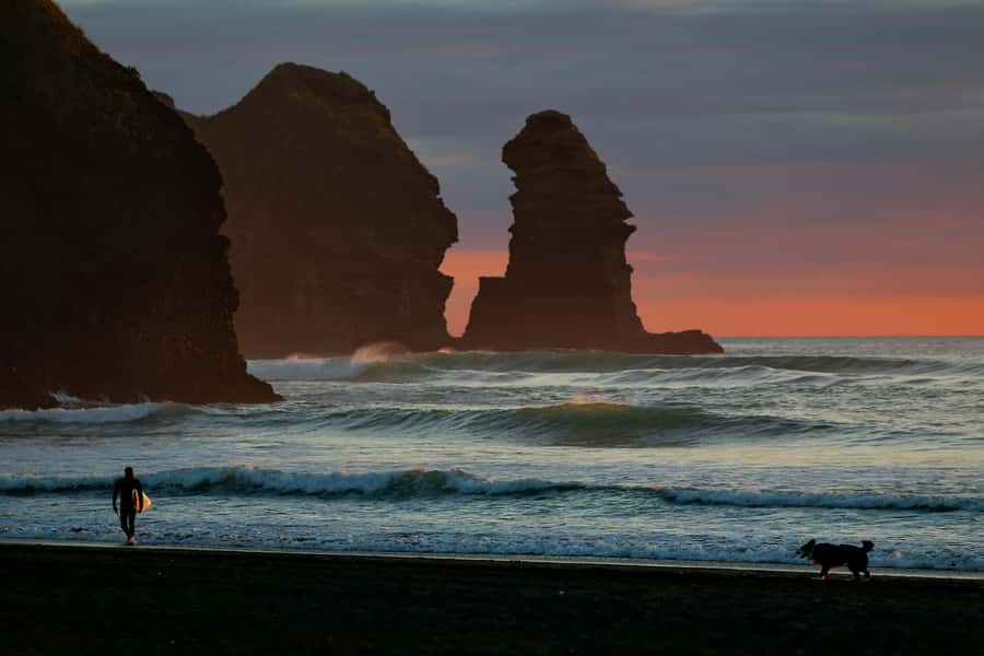 Auckland Private Tour: West Coast Wilderness & Piha Beach - Why Auckland’s west coast makes a strong day trip