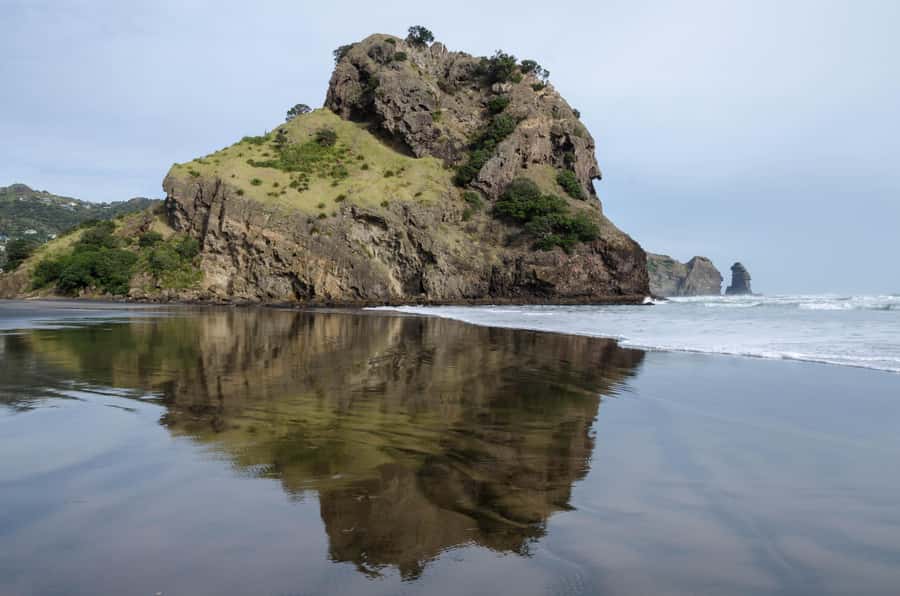 Auckland Private Tour: West Coast Wilderness & Piha Beach - Karekare Falls and the forest setting