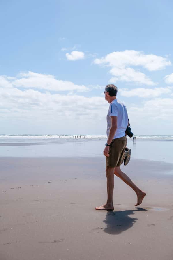 Auckland Private Tour: West Coast Wilderness & Piha Beach - Who should book this west coast tour?