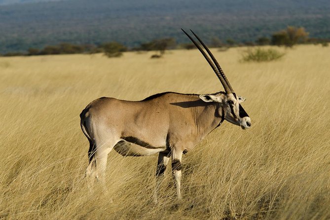 Awash National Park Tours - From Addis Ababa to Awash National Park