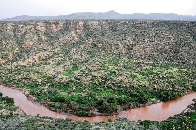 Awash National Park Tours - The evening game drive and possible wildlife
