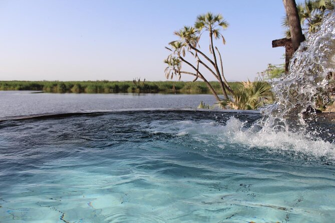 Awash National Park Tours - Filwoha hot springs and palm groves