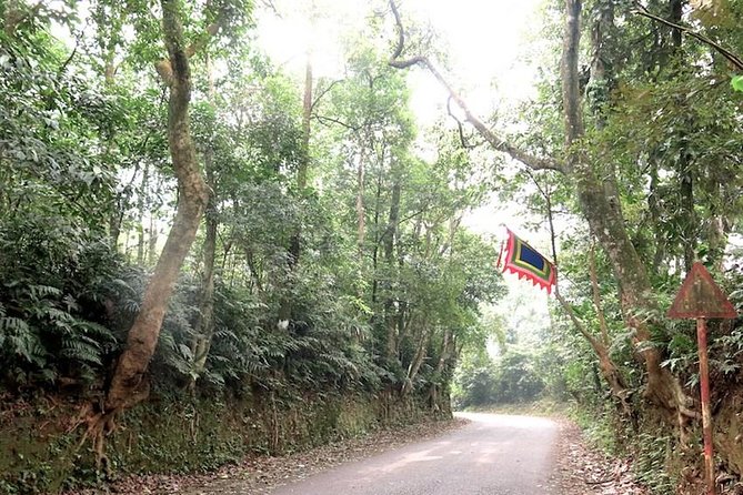 Ba Vi National Park Private Tour: Sightseeings & Jungle Hikking - The French prison ruins and a darker chapter