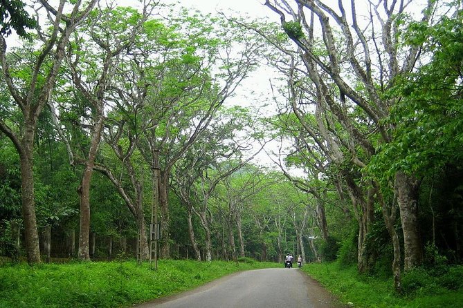 Ba Vi National Park Private Tour: Sightseeings & Jungle Hikking - What the $75 price actually covers