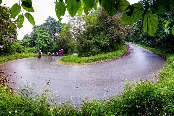 Ba Vi National Park Private Tour: Sightseeings & Jungle Hikking - Who should book this Ba Vi day trip?
