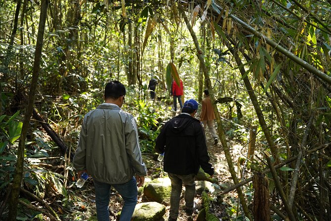 Bach Ma National Park trekking daily tour from Da Nang, Hoi An - Swimming and picnic lunch beside the water