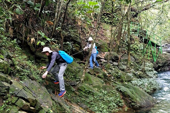 Bach Ma National Park trekking daily tour from Da Nang, Hoi An - Returning through the park and back to your hotel