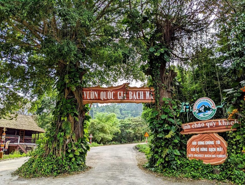 Bach Ma National Park Trekking Tour From Hue/Da Nang/Hoi An - Hai Vong Dai and the first mountain views