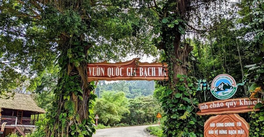 Bach Ma National Park Trekking Tour From Hue/Da Nang/Hoi An - Early pickup from Hue, Da Nang, or Hoi An