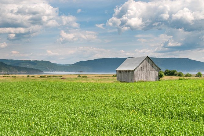 Back Country of the Fjord and the National Park - Shops, crafts, and free time near the pier