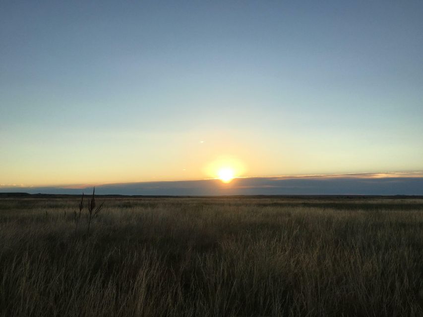 Badlands National Park Private Tour - Wildlife along the route