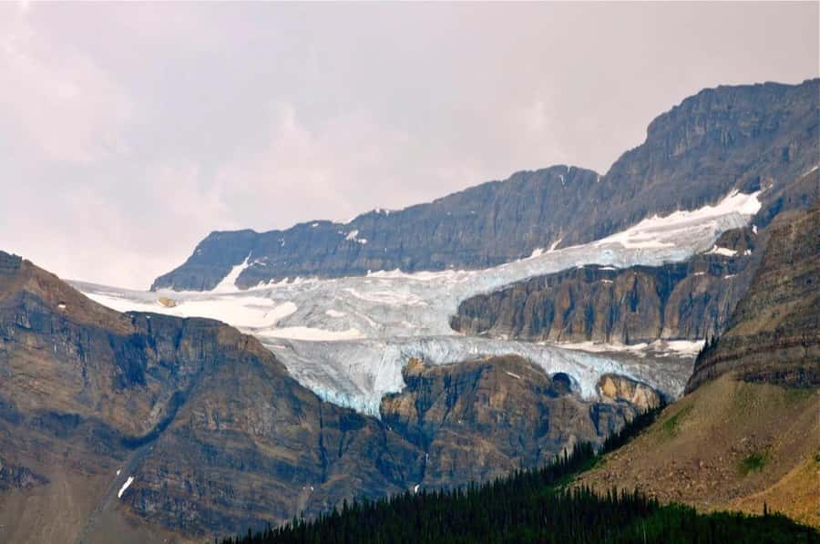 Banff and Jasper National Parks: Tour with Transport - Key points to know before booking