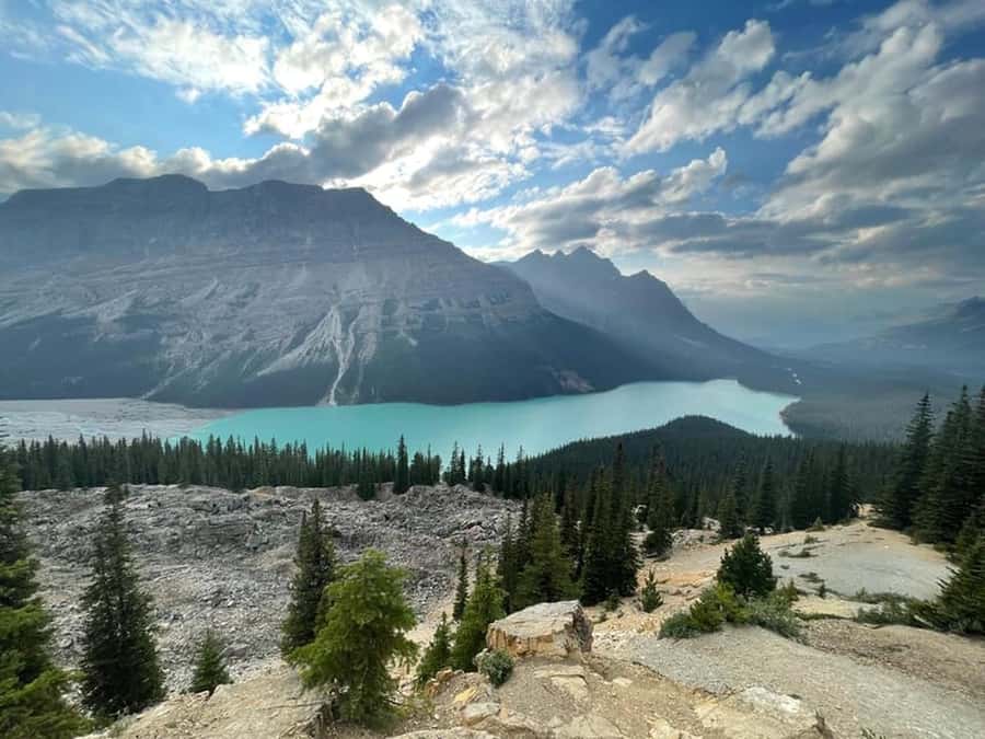 Banff and Jasper National Parks: Tour with Transport - One long day along the Icefields Parkway