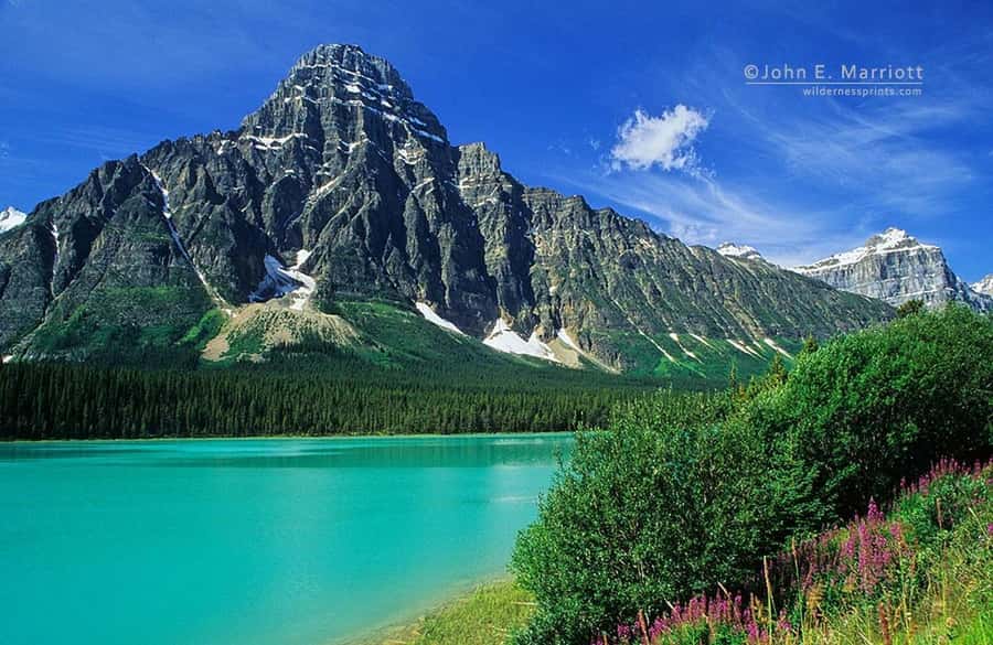 Banff and Jasper National Parks: Tour with Transport - Waterfowl Lake for a quieter pause