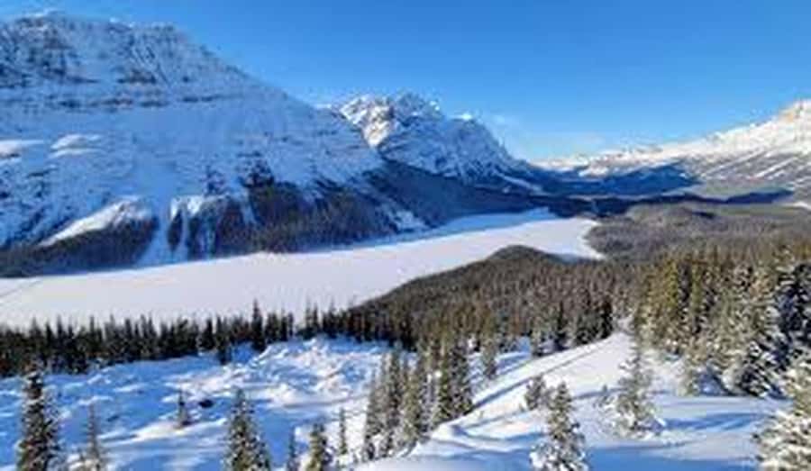 Banff and Jasper National Parks: Tour with Transport - Columbia Icefield, Athabasca Glacier, and the paid add-ons