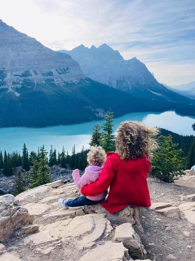 Banff and Jasper National Parks: Tour with Transport - The guides make the long drive easier