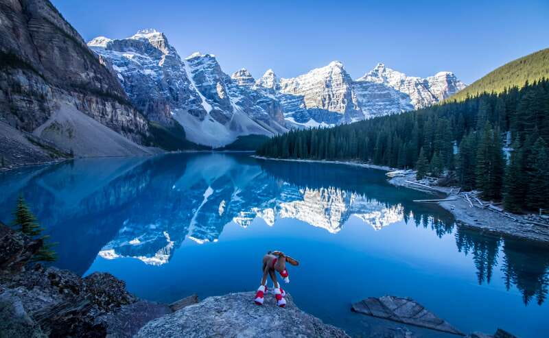 Banff: Explore Banff & Jasper National Parks (4-Days) - Key points to know before booking