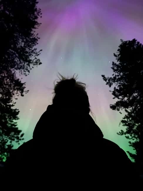 Banff: Guided Sunset and Stargazing Tour - Wildlife, safety, and the real feel of walking in the dark