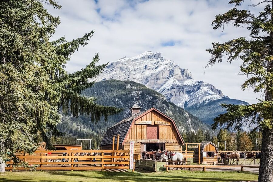 Banff National Park: 1-Hour Bow River Horseback Ride - Learning the Basics Before You Leave