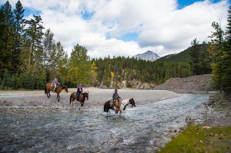 Banff National Park: 1-Hour Spray River Horseback Ride - Meeting your horse and learning the basics