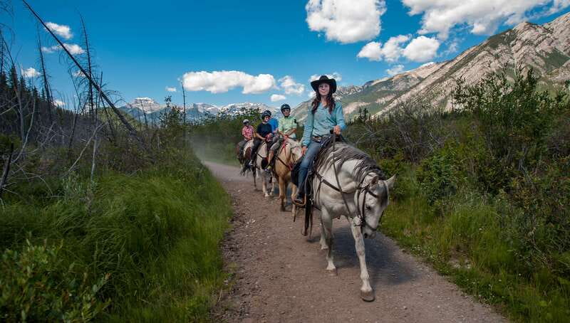 Banff National Park: 2-Hour Sundance Loop Horseback Ride - Learning to ride before the trail
