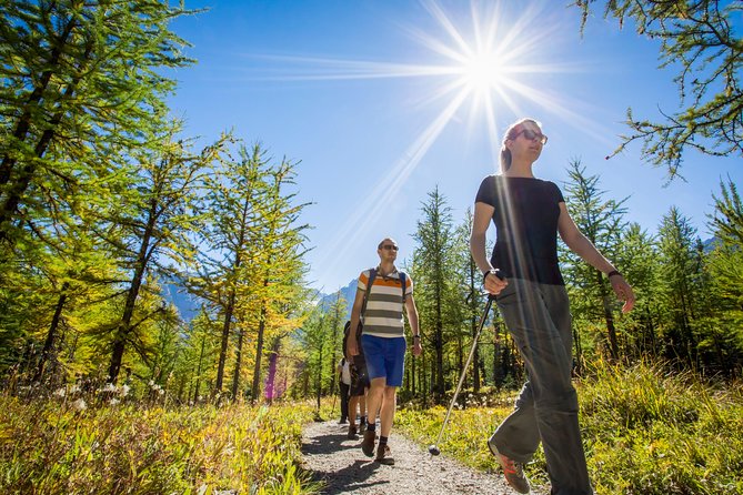 Banff National Park Guided Hike with Lunch - What the guide adds to the day