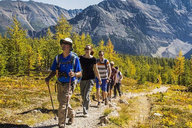 Banff National Park Guided Hike with Lunch - Larch Valley above Moraine Lake