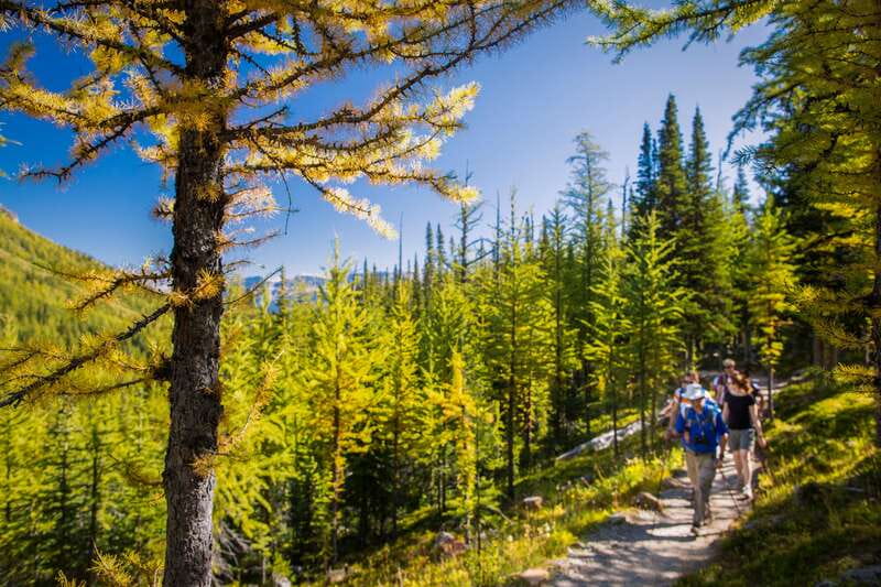 Banff National Park: Guided Signature Hikes with Lunch - Stanley Glacier: fire, fossils, and ice