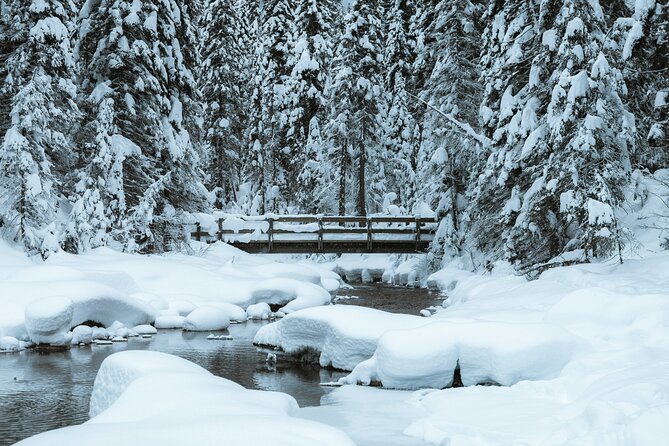 Banff National Park & Lake Louise FULL DAY PRIVATE TOUR - Four hours of driving is part of the deal
