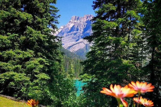 Banff National Park Moraine Lake and Lake Louise Explorer Tour - A practical plan for making the hour count