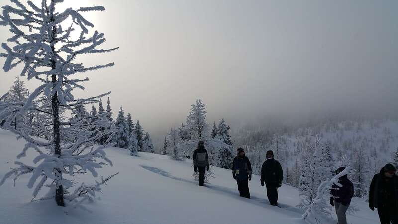Banff National Park: Sunshine Meadows Snowshoeing Experience - Key points at a glance