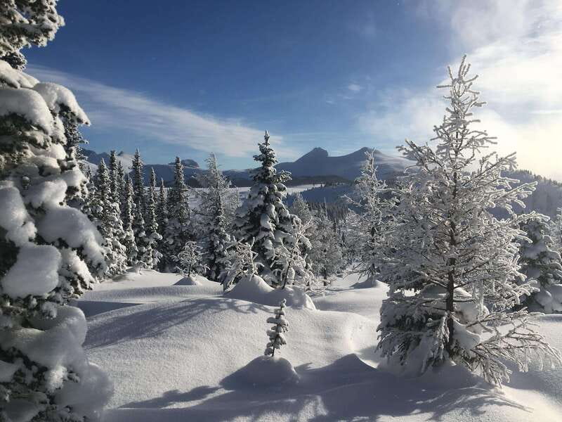 Banff National Park: Sunshine Meadows Snowshoeing Experience - What the $102 price really covers