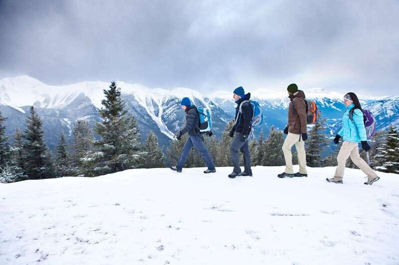 Banff: Winter Wilderness Walk with Wildlife Tracking - 2hrs - What you learn from animal tracks