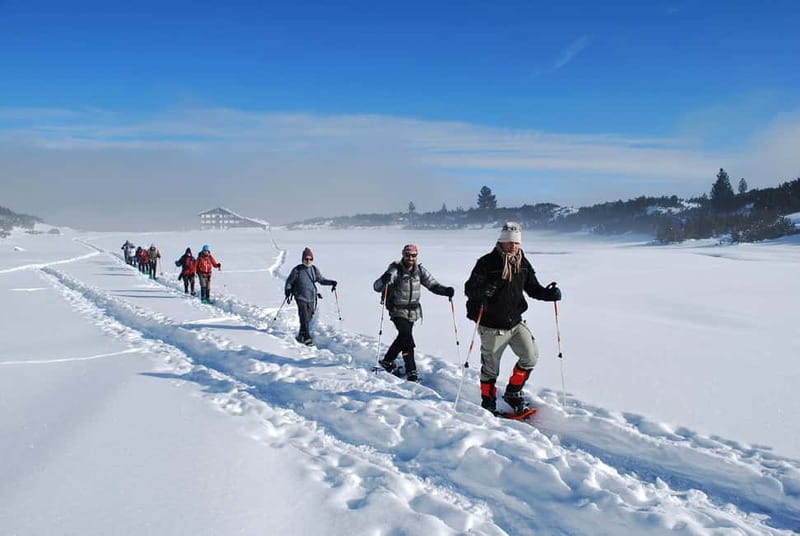Bansko: Easy snowshoeing Pirin National Park & thermal spa - Snowshoes, poles, and the pace of the walk