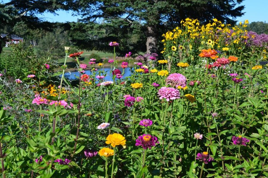 Bar Harbor: Acadia National Park Customizable Private Tour - Otter Cliffs bring granite, sea, and birds together