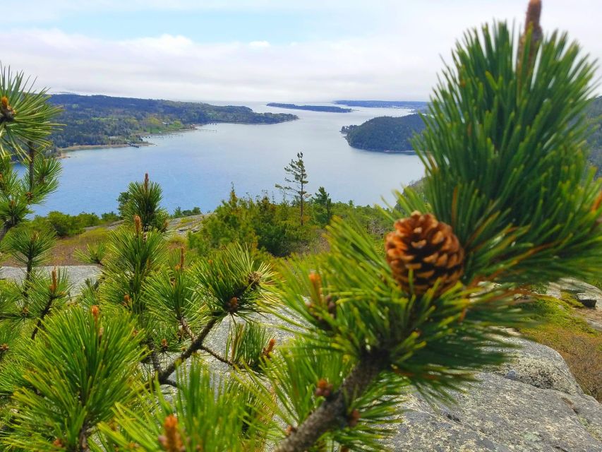 Bar Harbor: Acadia National Park Customizable Private Tour - The flexible format is the real feature