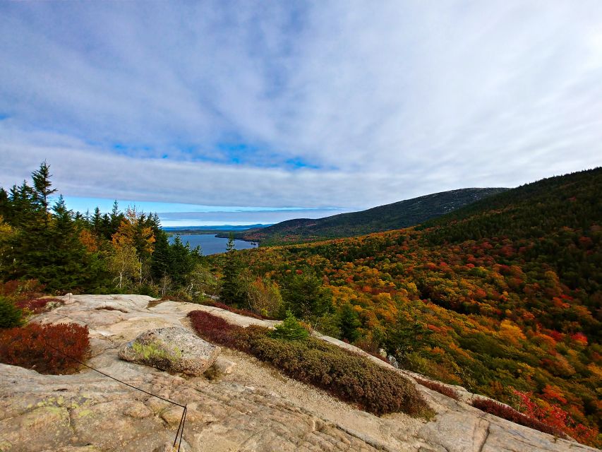 Bar Harbor: Acadia National Park Small-Group Guided Tour - Why a Small Group Changes the Acadia Experience