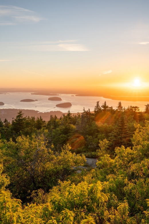Bar Harbor: Acadia National Park Small-Group Guided Tour - Bubble Rock and Acadia’s Geology