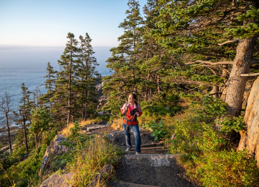 Bar Harbor: Acadia National Park Tour with Lobster Roll - Pickup, timing, and the practical details