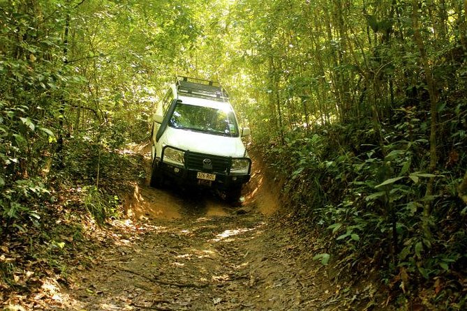 Barron Gorge and Kuranda National Park Half Day Rainforest and Waterfall 4WD Tour from Cairns - Davies Creek National Park and the clearest water stop